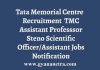 TMC Recruitment Professor Steno