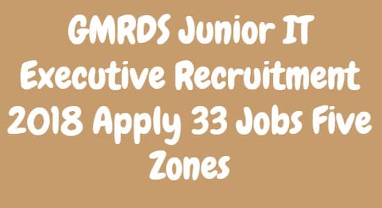 GMRDS Junior IT Executive Recruitment