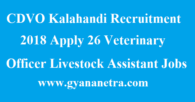CDVO Kalahandi Recruitment