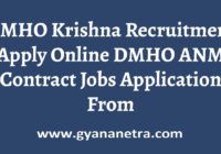 DMHO Krishna Recruitment Application Form