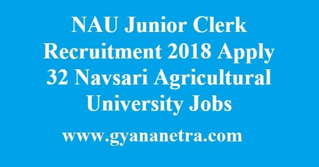 NAU Junior Clerk Recruitment
