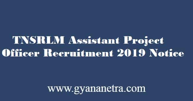 TNSRLM Assistant Project Officer Recruitment 2019