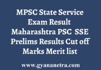 MPSC State Service Exam Result