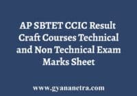 AP SBTET CCIC Craft Course Result