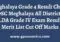 Meghalaya Grade 4 Result Merit List