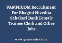 Bhagini Nivedita Sahakari Bank Recruitment