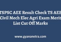TSPSC AEE Result Merit List